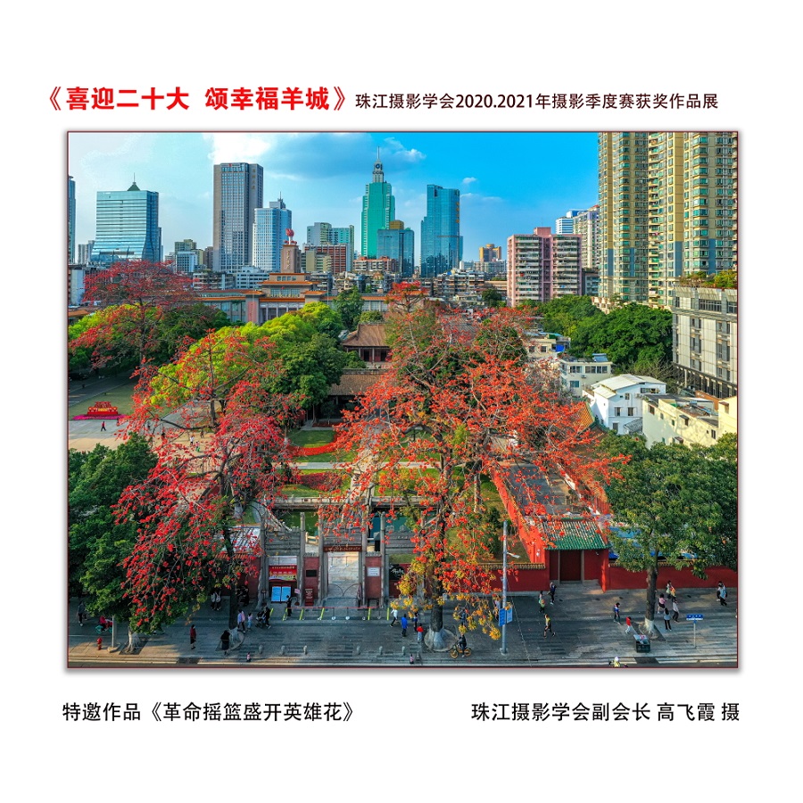 特邀作品《革命圣地盛开英雄花》 珠江摄影学会副会长高飞霞 摄
