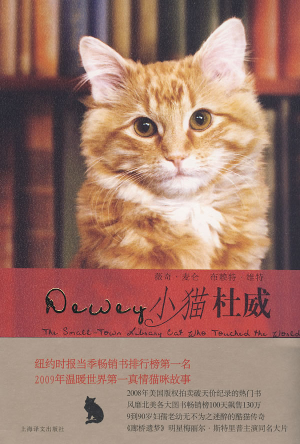 小猫杜威.jpg