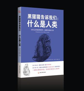 无标题.png