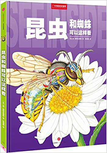 517-YIsVJkL._SX349_BO1,204,203,200_.jpg
