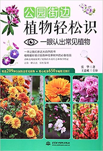 61NPY29A2JL._SX338_BO1,204,203,200_.jpg